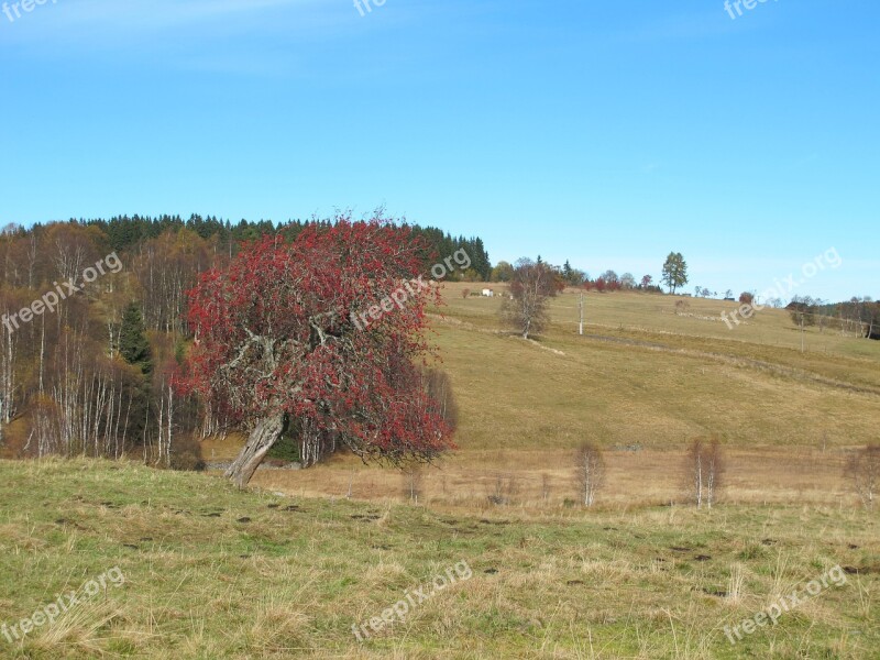 šumava Crane View Landscape Autumn