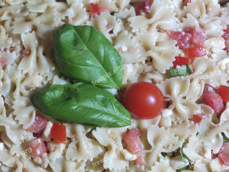 Pasta Italian Food Basil Homemade Italy