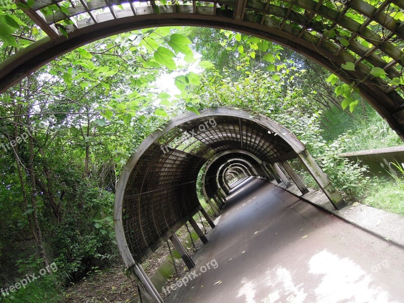 Taiwan Summer Vacation Green Gallery Summer The Green Corridor