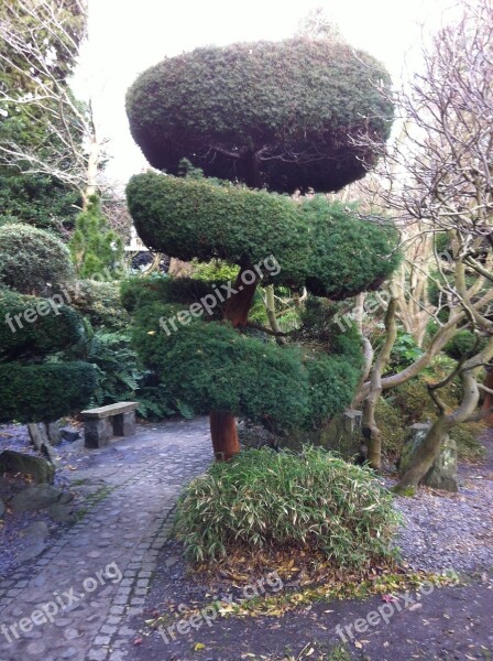 Garden Topiary Hedge Free Photos