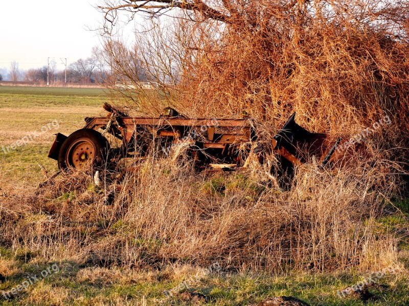 Nature Rust Rusty Metal Old