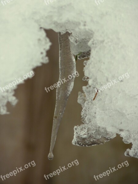 Icicle Winter Cold Ice Frozen