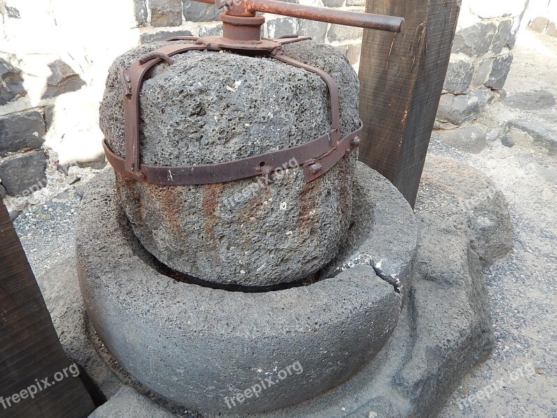 Ancient Archaeology History Olive Press