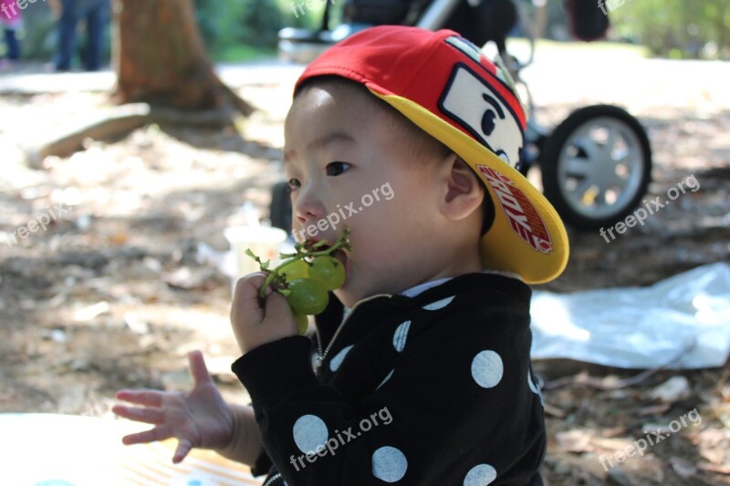 Boys Nature Park Grand Park Child Eating Grapes