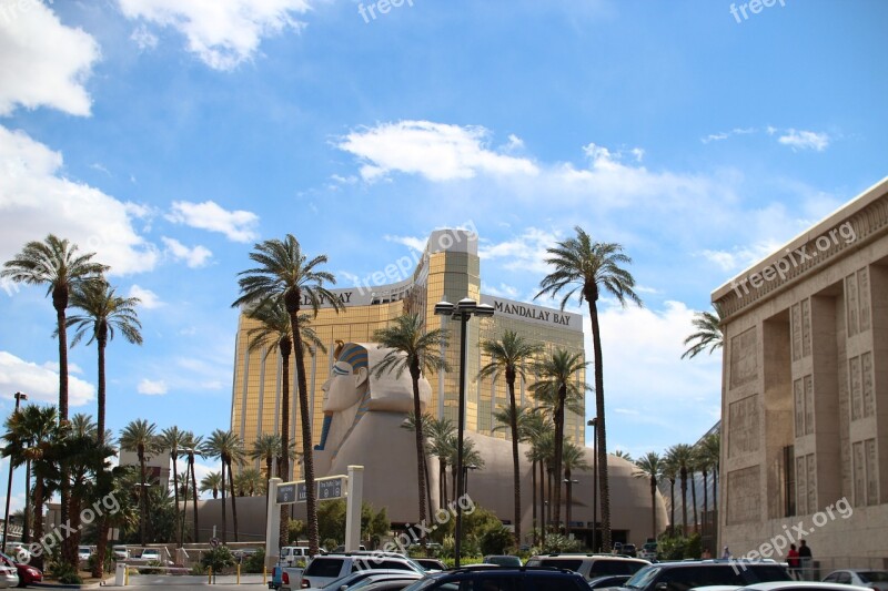 Las Vegas Mandalay Palm Trees Free Photos