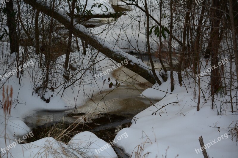 Snowy Creek Frozen Forest Stream