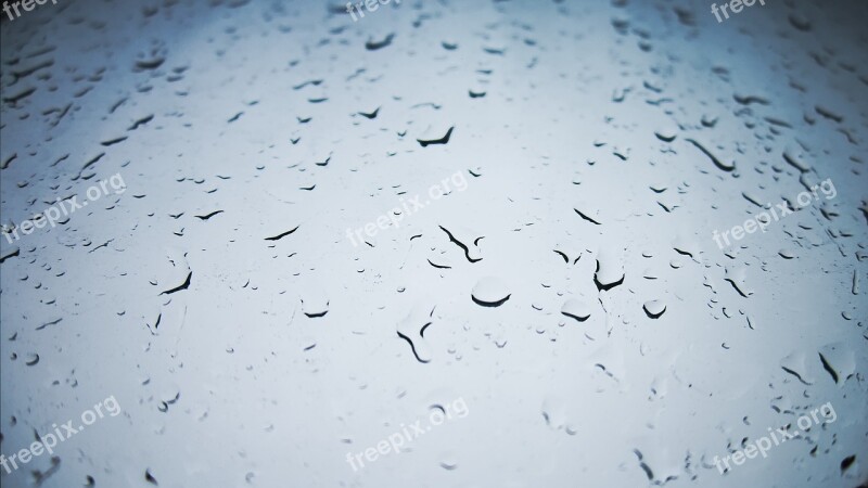 Rain Drops Drop Of Rain Water Drops Of Water