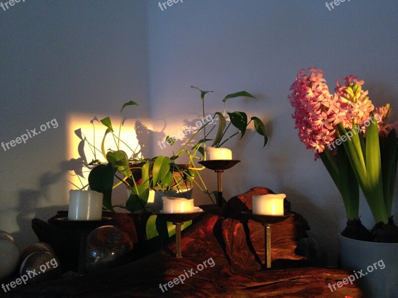 Hyacinth Stone Ball Candle Light Effect Log