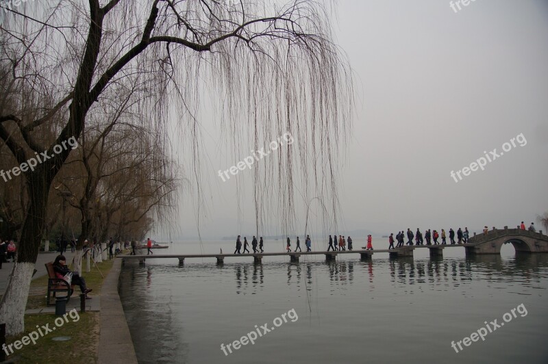 Lake View Weeping Willow West Lake Free Photos