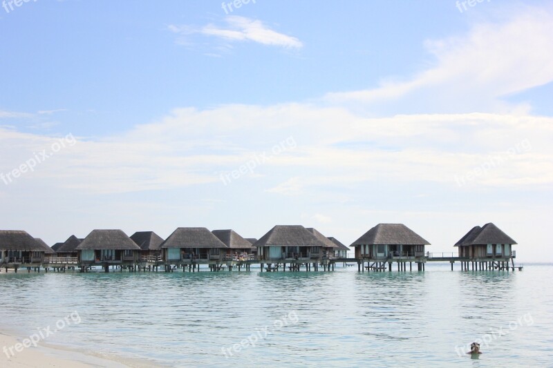 Vacation Beach Maldives Free Photos