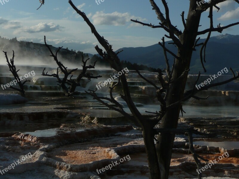 Yellowstone National Park Wyoming Terrace Thermal Mineral Deposit