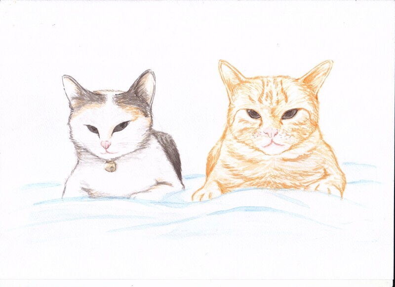 Cat Painting Ginger Pair Free Photos