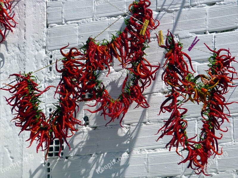 Vegetable Chili Pepper Drying Sun Food