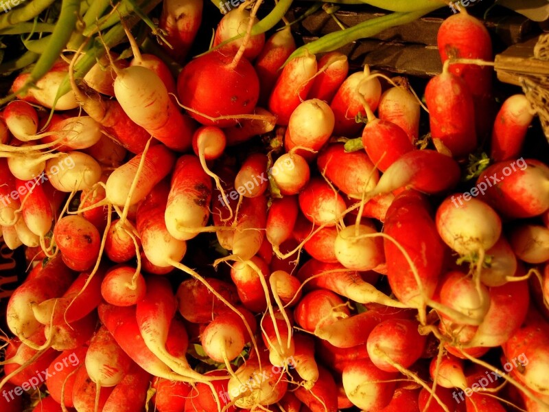 Roots Tubers Radishes Jewish Market