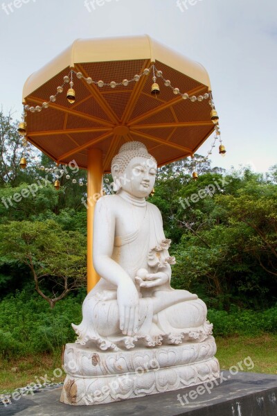 Buddha Statues Buddhism Artistic Conception Free Photos