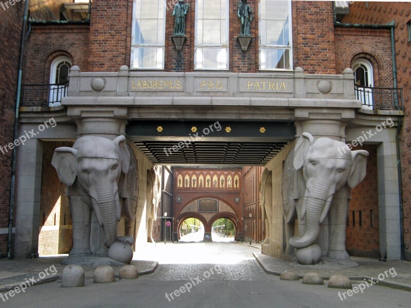 Elephant Beer Animal Copenhagen Free Photos