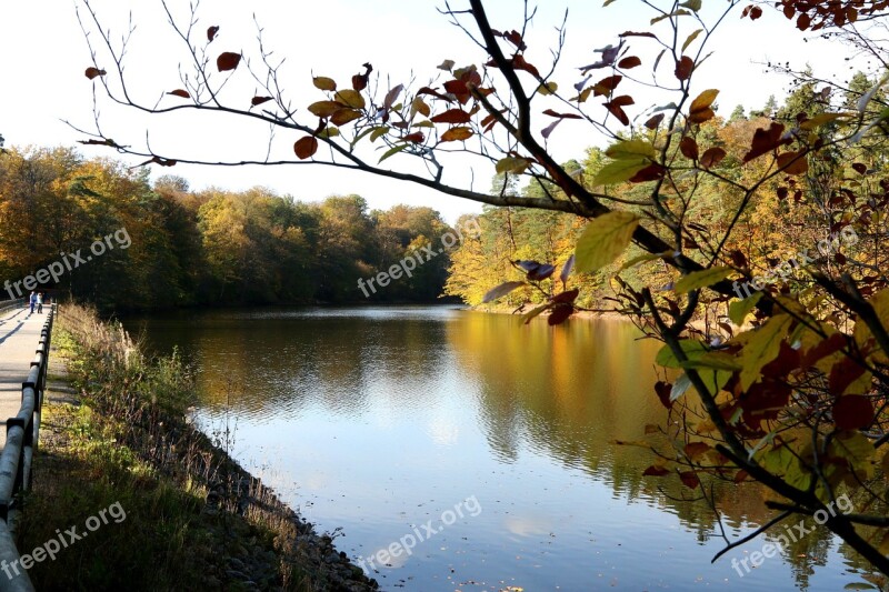 Lake Autumn Nature Bear Lake Stuttgart