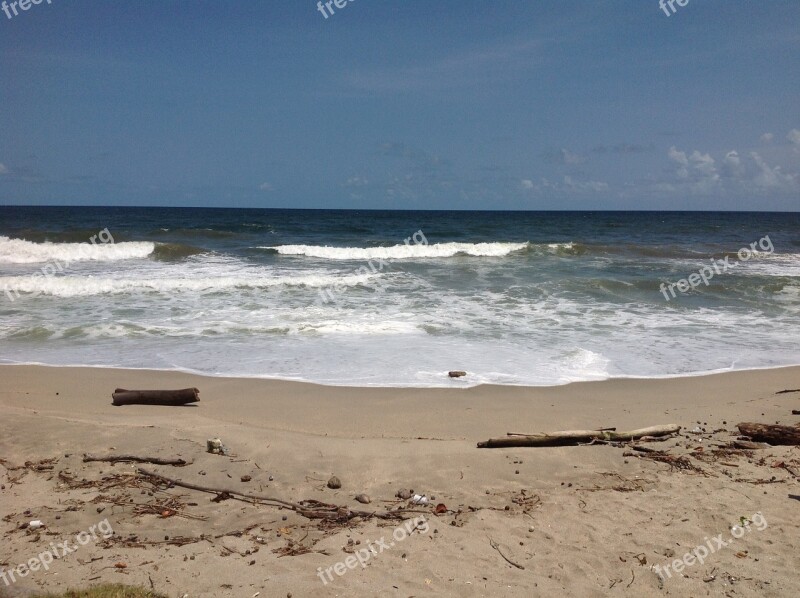 Drift Wood Beach Sand Ocean