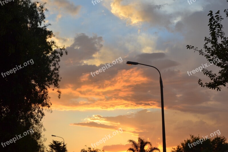 Sunset Suburb Trees Landscape Evening