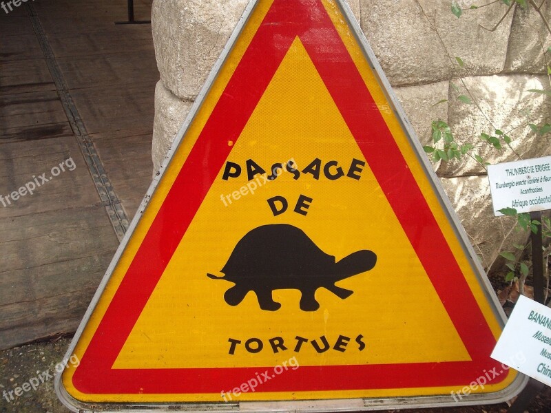 Sign Danger Animals Humor Free Photos