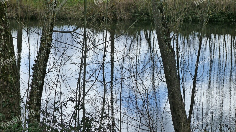 Landscapes Nature Water Pond Winter