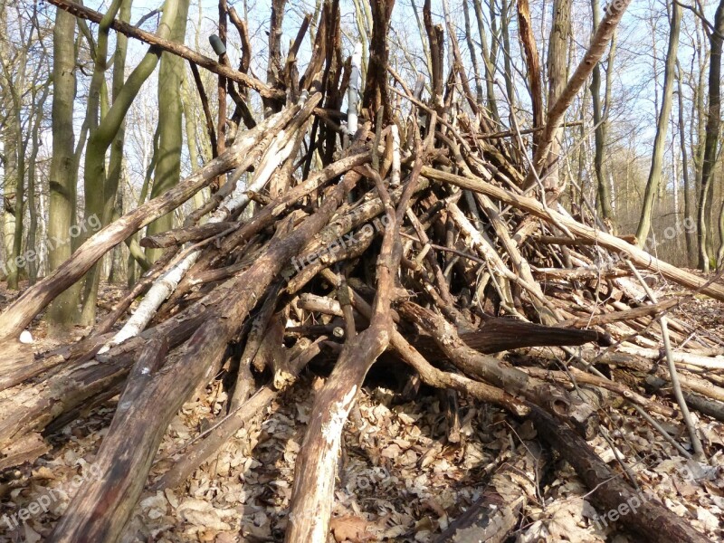 Aesthetic Tent Pile Mystical Forest