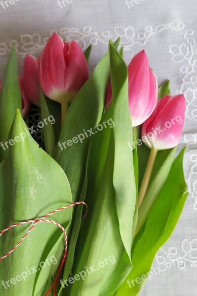 Bouquet Tulips Pictures Of Flowers Mother March 8 Free Photos