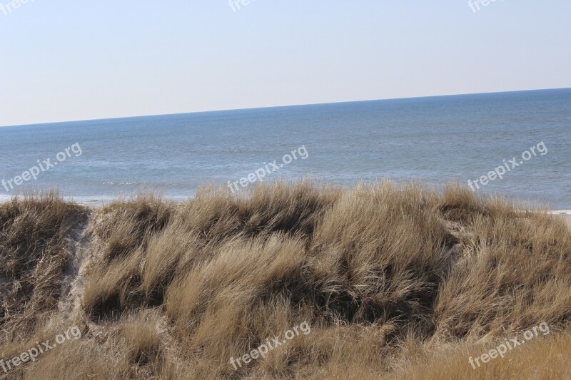 Dunes Dry Drought Landscape Free Photos