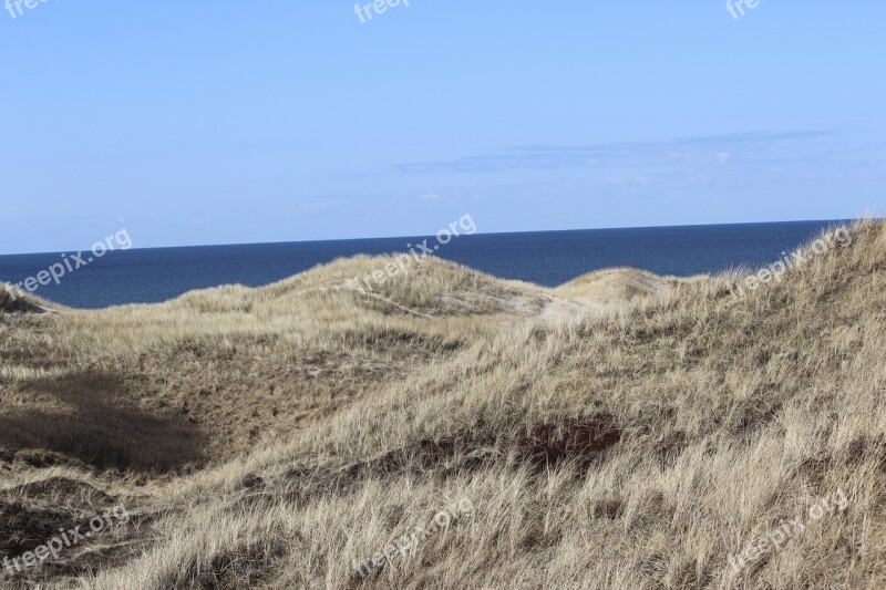 Dunes Dry Dune Drought Landscape