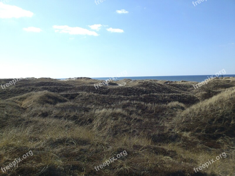 Hill Dunes Green Free Photos