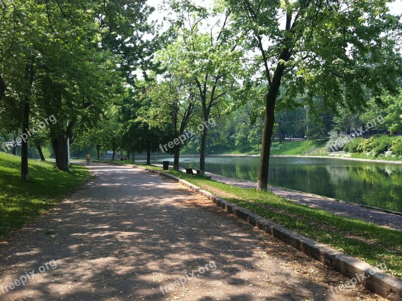 Montreal Trees Park Water Green