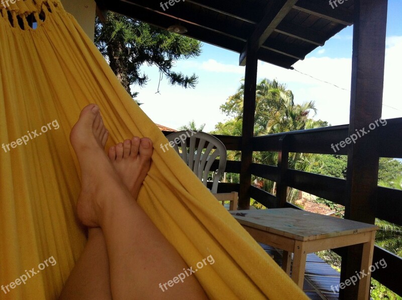 Feet Hammock Summer Trees Tropical