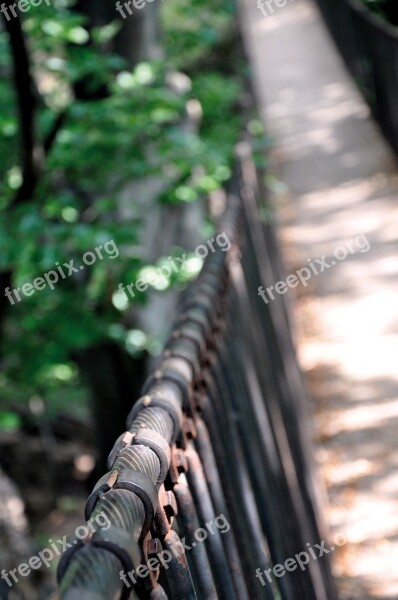 Bridge Steel Cable Suspension Bridge Green Brown