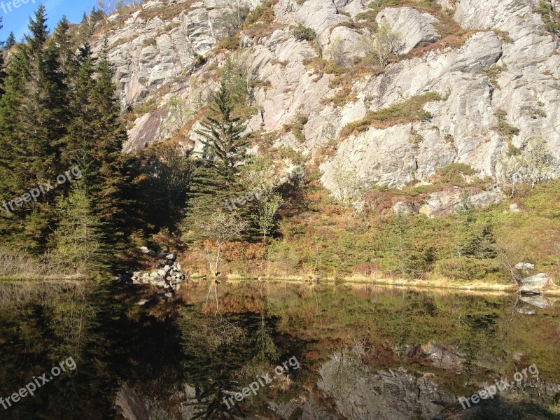 Summer Wood Mountain Water Landscape