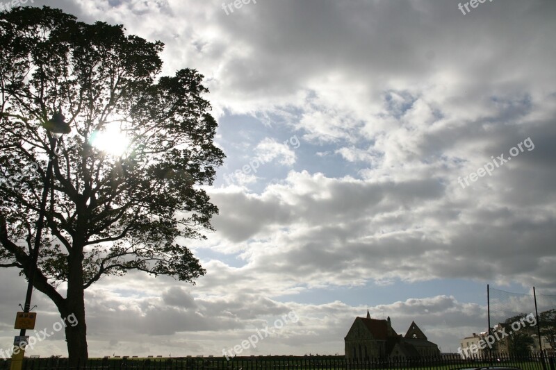 Tree Sun Nature Landscape Season