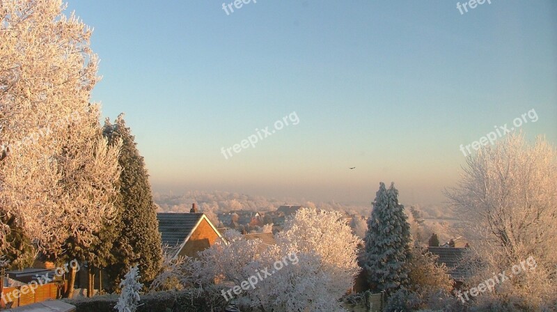 Snow Trees Morning Freezing Ice