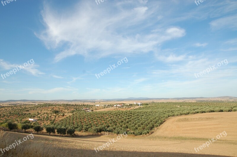 Portugal Alentejo Europe Landscape Sunny