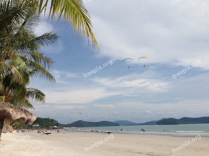 The Sea Parachute Hotel Coconut Trees Fresh