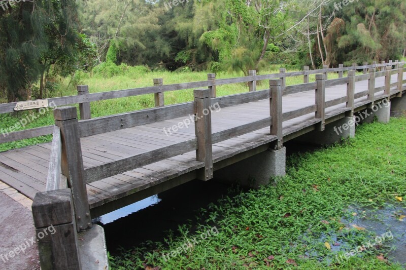 Taiwan Taitung Forest The Sea Lake