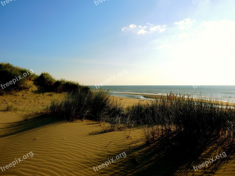 Beach Dunes Sand Grass Sunset