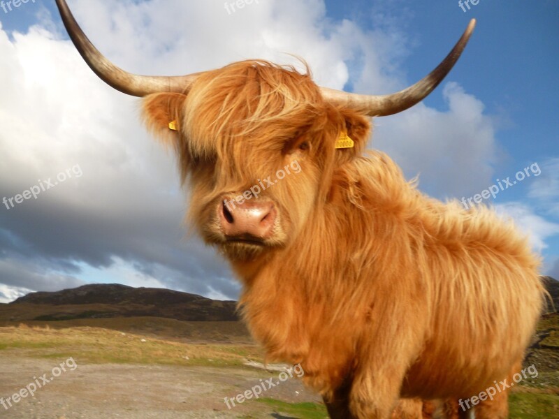 Scotland Cycling Highlands Bicycle Countryside