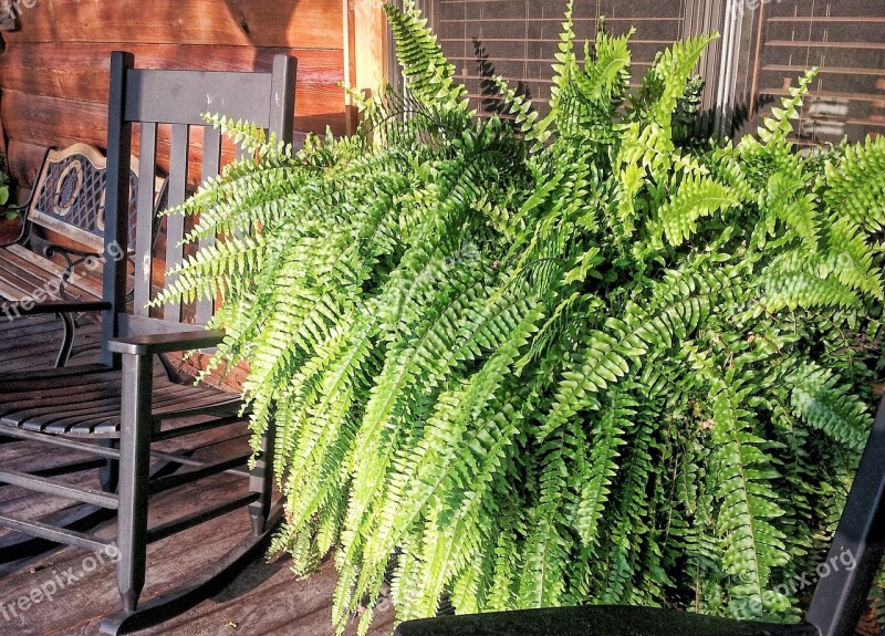 Fern Rocking Chair Farm Porch Country