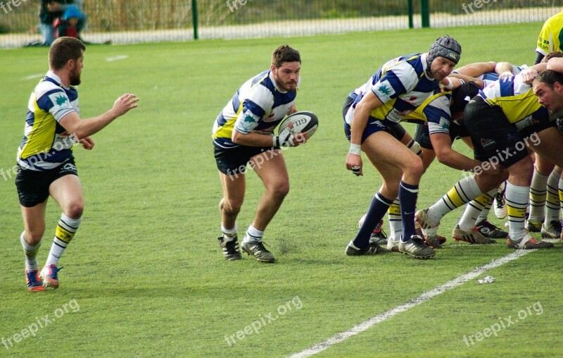 Rugby Ball Sports Match Action