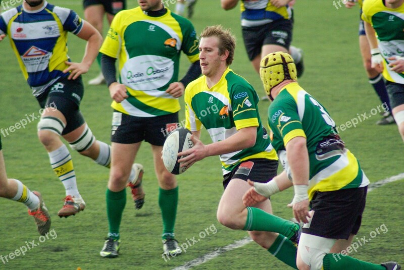 Rugby Ball Sports Match Teams