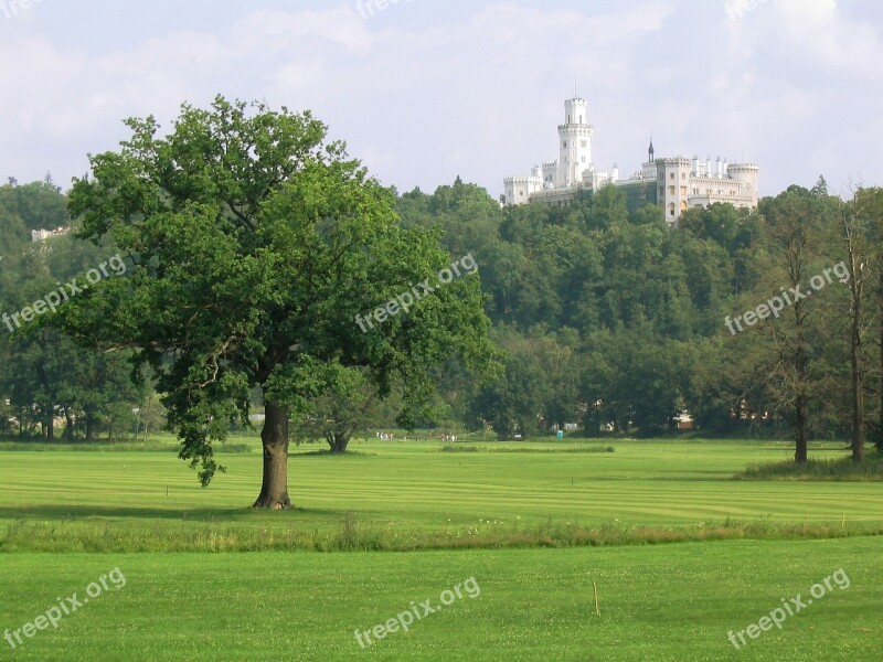 Castle Tree Golf Course Green Hluboka