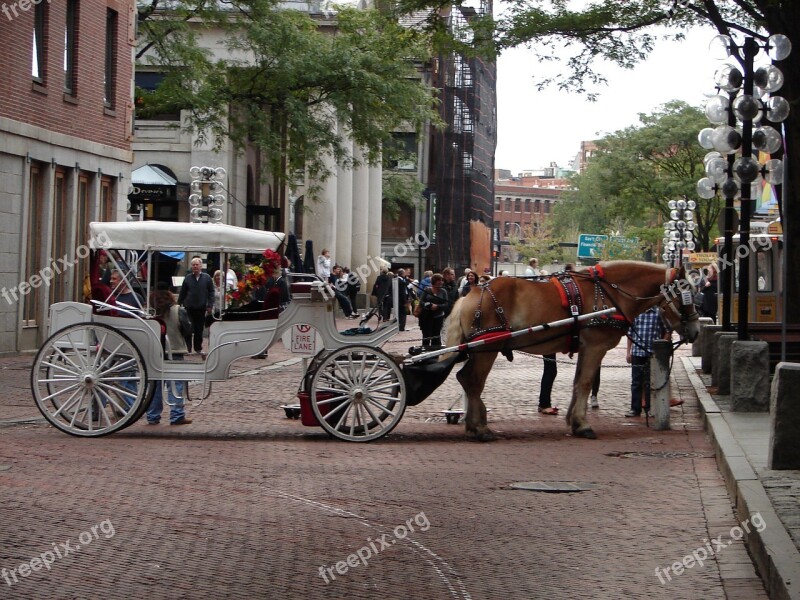 Horse Carriage Boston Coach Tourist