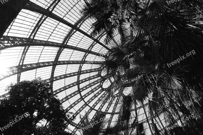 Ceiling Vault Plants Garden Black White