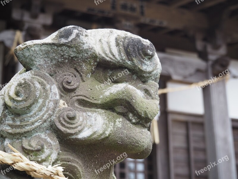 Japan Shrine Guardian Dogs Free Photos