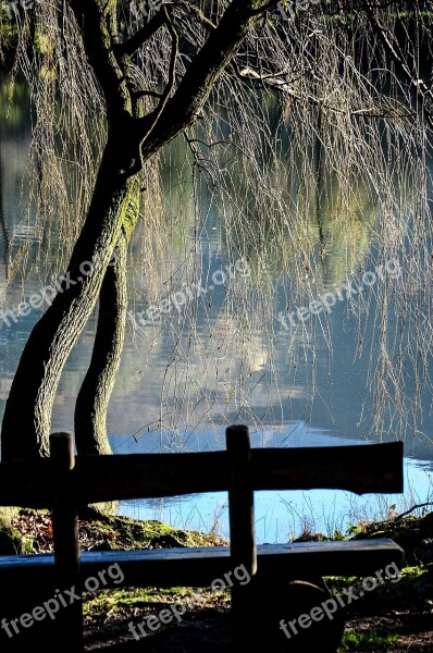 Origlio Lake Nature Switzerland Ticino