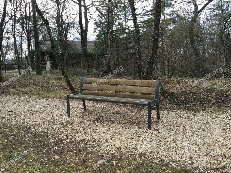 Bench Park Nature Landscape Trees